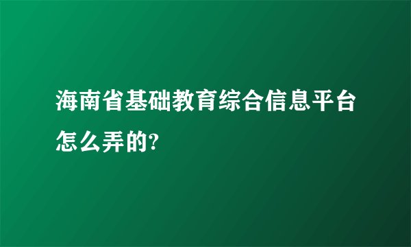 海南省基础教育综合信息平台怎么弄的?