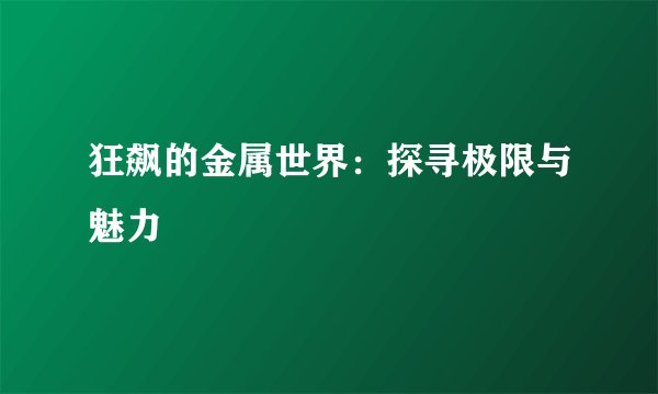 狂飙的金属世界：探寻极限与魅力