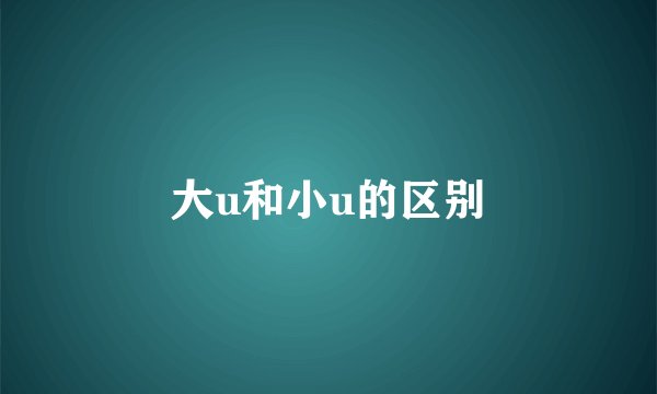 大u和小u的区别