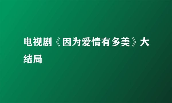 电视剧《因为爱情有多美》大结局