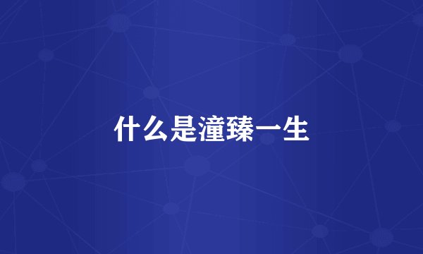 什么是潼臻一生