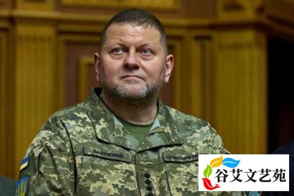 突发！乌军总司令被解职！