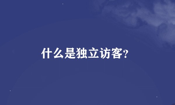什么是独立访客？