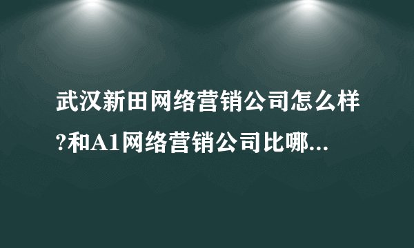 武汉新田网络营销公司怎么样?和A1网络营销公司比哪个更强？拜托了各位 谢谢