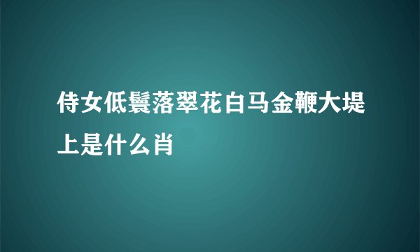 侍女低鬟落翠花白马金鞭大堤上是什么肖