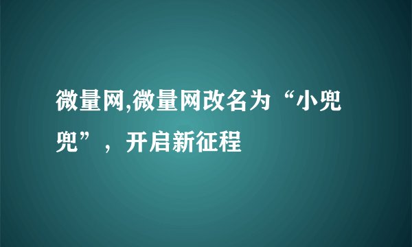 微量网,微量网改名为“小兜兜”,开启新征程