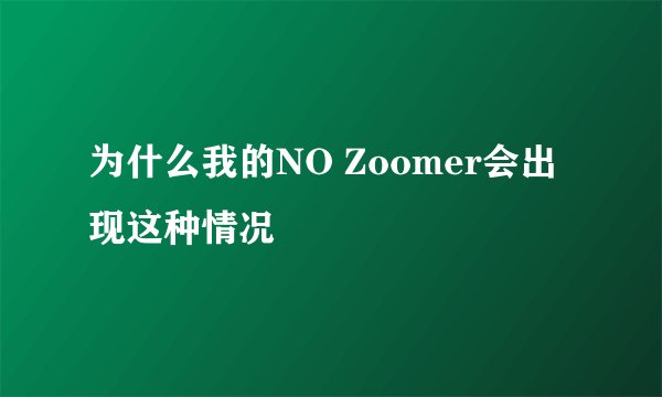 为什么我的NO Zoomer会出现这种情况