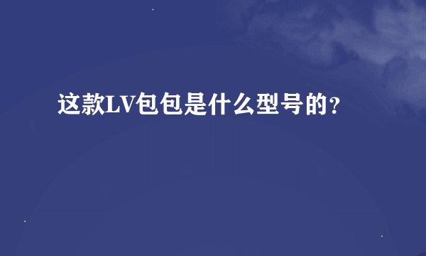 这款LV包包是什么型号的？