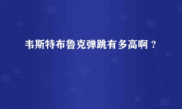 韦斯特布鲁克弹跳有多高啊 ?