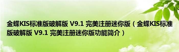 如何评价金蝶KIS的标准版破解版?