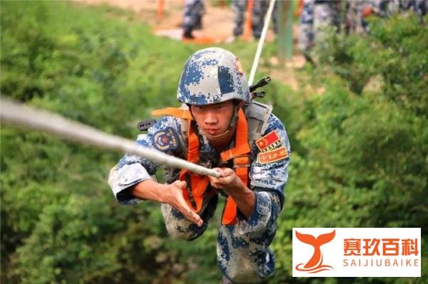 龙虎兄弟：哥哥中途受伤，双胞胎弟弟代兄扬威国际赛场！