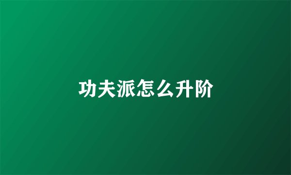 功夫派怎么升阶