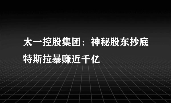 太一控股集团：神秘股东抄底特斯拉暴赚近千亿