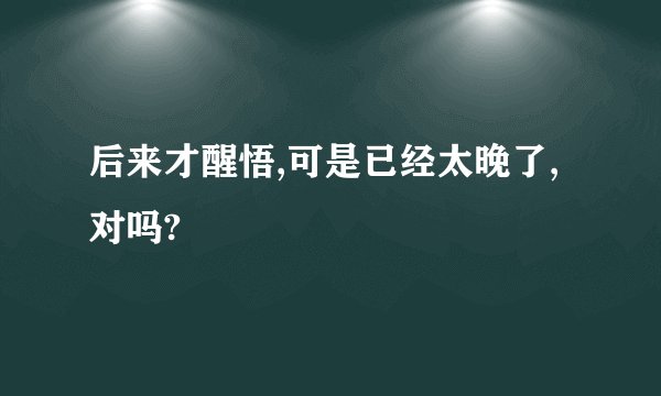 后来才醒悟,可是已经太晚了,对吗?