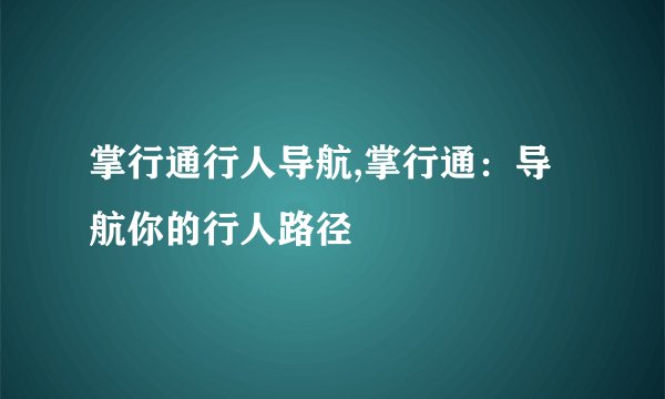 掌行通行人导航,掌行通：导航你的行人路径