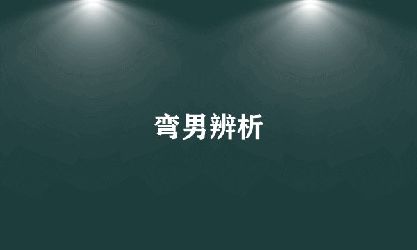 弯男辨析