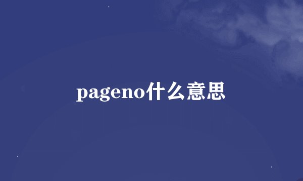 pageno什么意思
