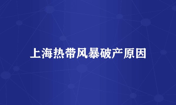 上海热带风暴破产原因