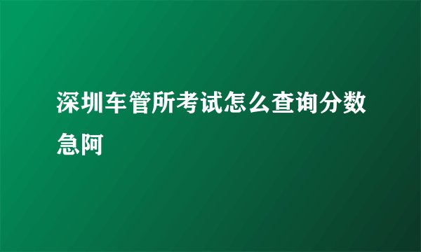 深圳车管所考试怎么查询分数急阿