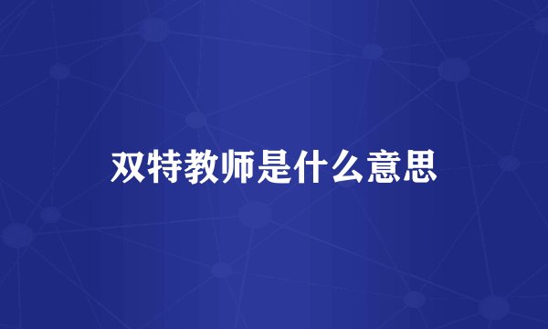 双特教师是什么意思