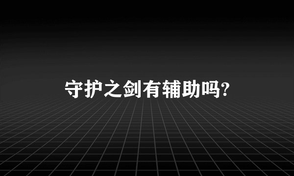 守护之剑有辅助吗?