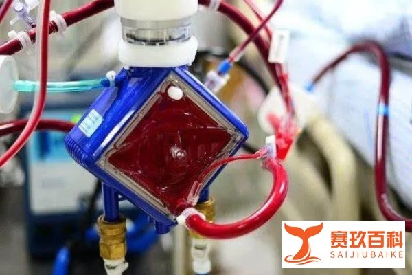 日本成功研发出小型人工肺，抗疫征途中的又一大突破！