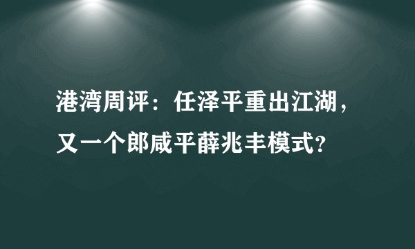 港湾周评：任泽平重出江湖，又一个郎咸平薛兆丰模式？