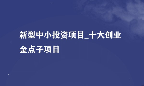 新型中小投资项目_十大创业金点子项目