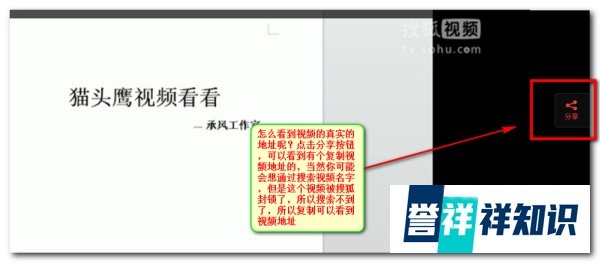 猫头鹰视频看看是真的吗【揭晓骗子】