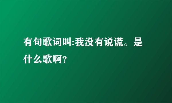 有句歌词叫:我没有说谎。是什么歌啊？