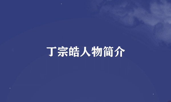 丁宗皓人物简介