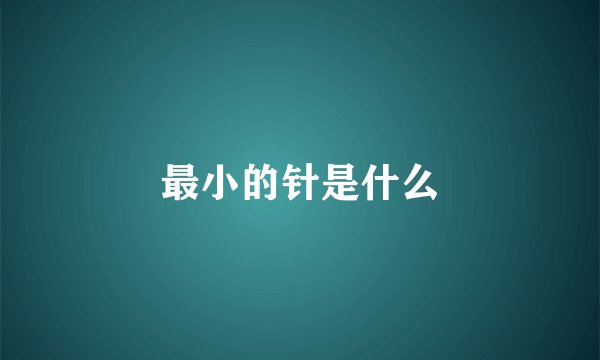 最小的针是什么