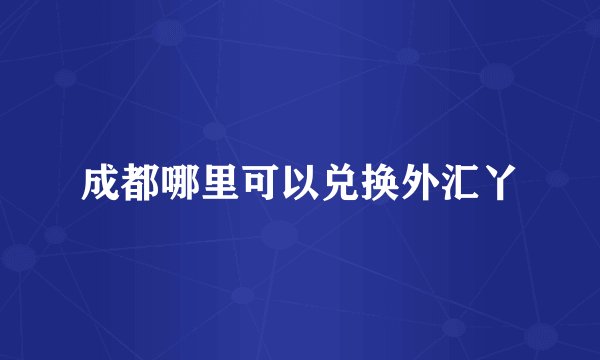 成都哪里可以兑换外汇丫