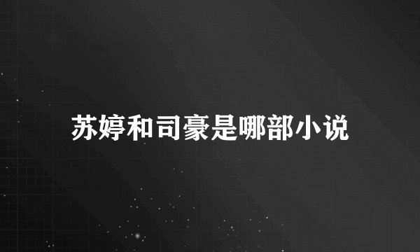 苏婷和司豪是哪部小说