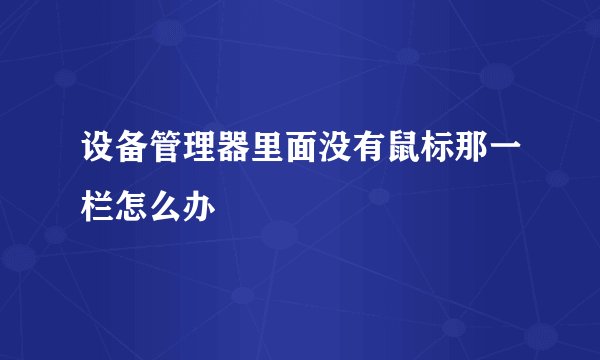 设备管理器里面没有鼠标那一栏怎么办
