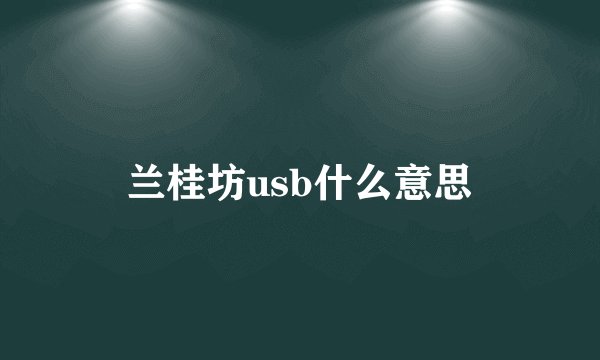 兰桂坊usb什么意思