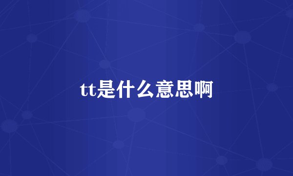 tt是什么意思啊