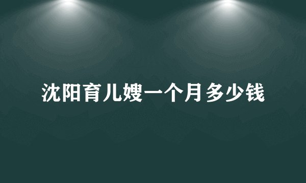 沈阳育儿嫂一个月多少钱