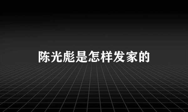 陈光彪是怎样发家的