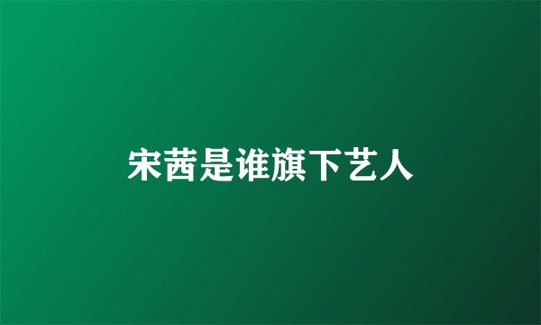 宋茜是谁旗下艺人