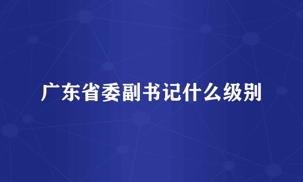 广东省委副书记什么级别