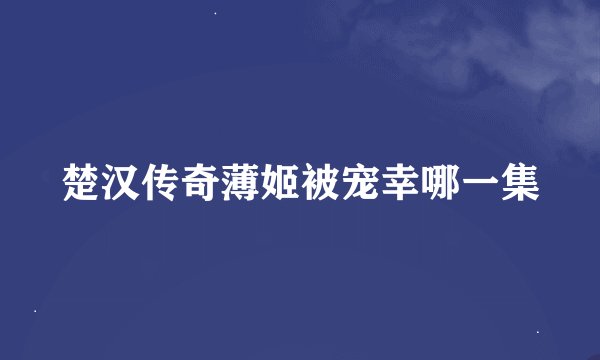 楚汉传奇薄姬被宠幸哪一集