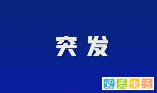 倒查30年！维维豆奶原子公司被核定补缴税款8500万余元