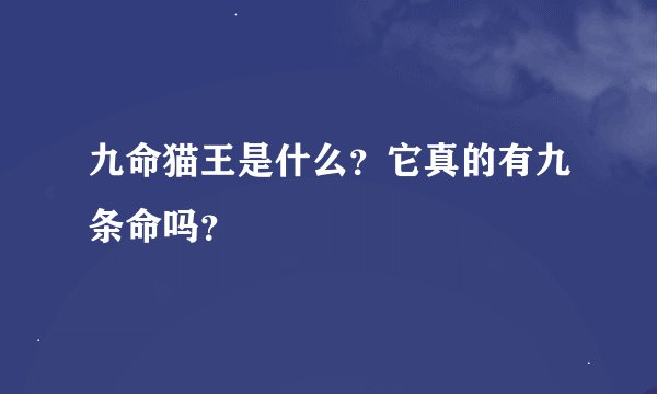 九命猫王是什么？它真的有九条命吗？