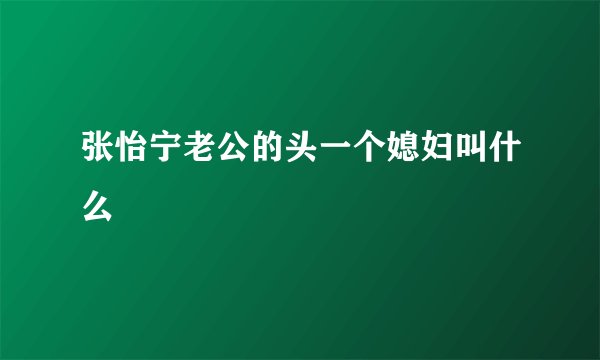 张怡宁老公的头一个媳妇叫什么