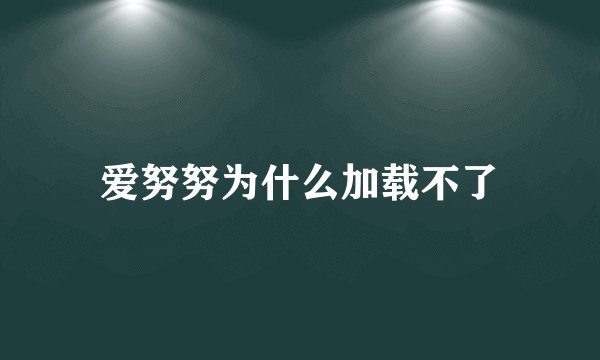 爱努努为什么加载不了