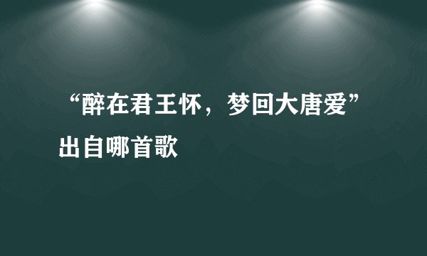 “醉在君王怀，梦回大唐爱”出自哪首歌