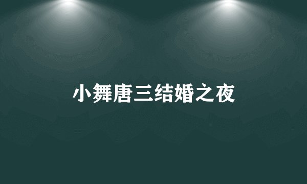 小舞唐三结婚之夜
