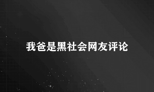我爸是黑社会网友评论