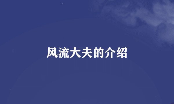 风流大夫的介绍